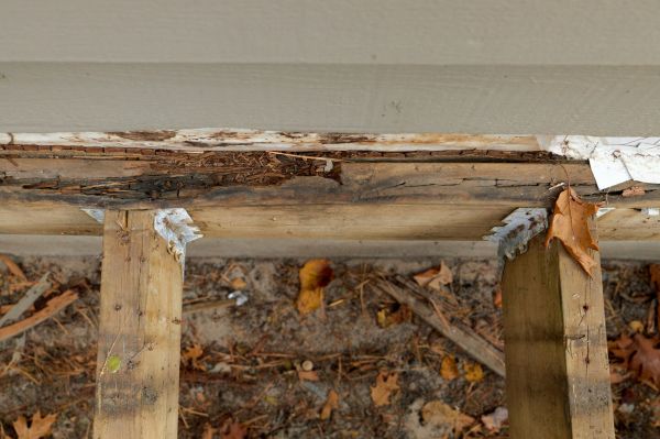 Augusta Wood Rot Repair